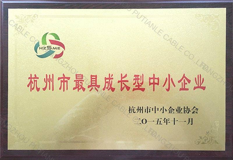 最具成长型中小企业